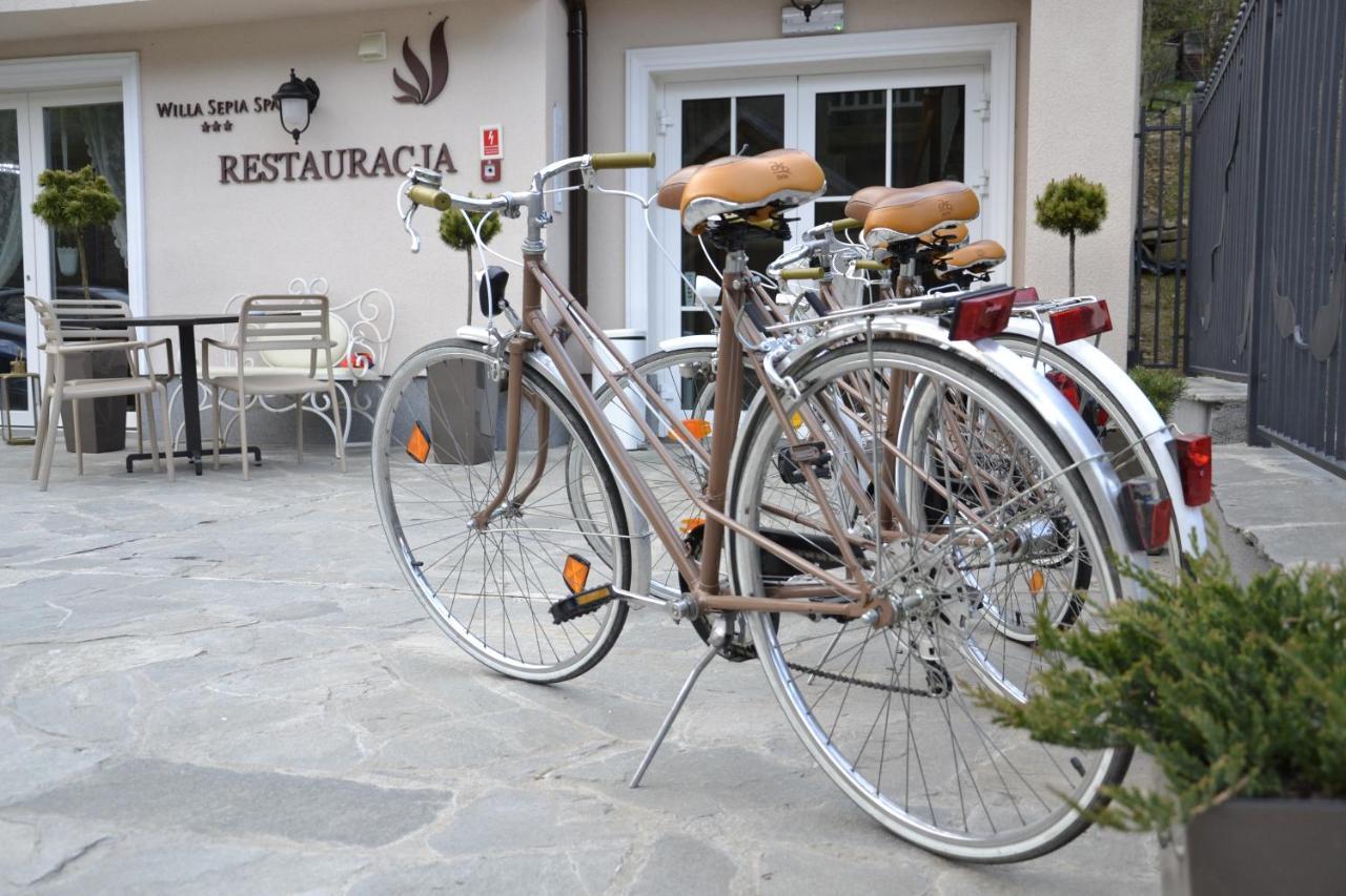 Willa Sepia Spa Wisła Exterior foto